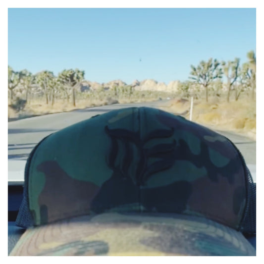 Thursday Travel Tips- Have you been to Joshua Tree-Palm Springs?